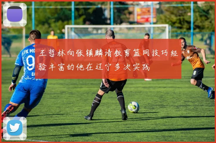 王哲林向张镇麟请教剪篮网技巧经验丰富的他在辽宁多次实践