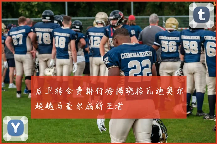 后卫转会费排行榜揭晓格瓦迪奥尔超越马奎尔成新王者